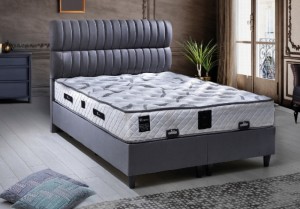 Dia Baza ve Başlık